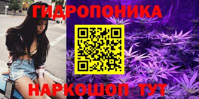 стафф Тулун