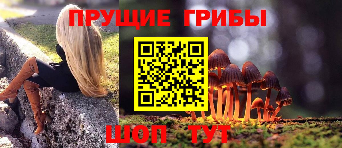Псилоцибиновые грибы Magic Shrooms Кыштым